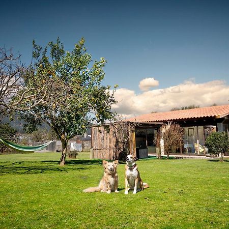 Casa Barros Villa Tui Ngoại thất bức ảnh